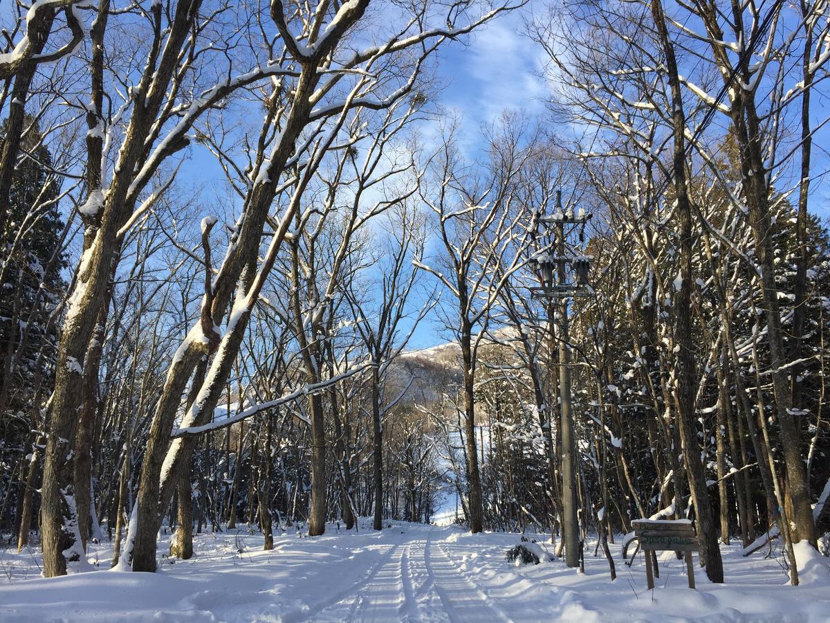 Maison De Sasagawa Hakuba Buitenkant foto